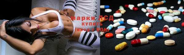 стаф Абинск