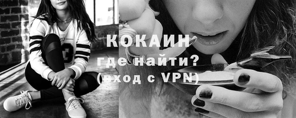 стаф Абинск