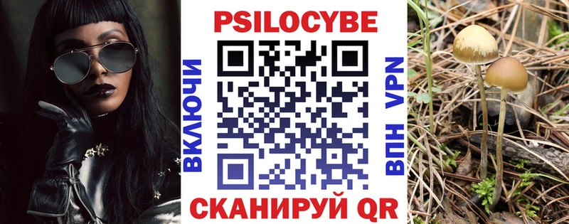 как найти закладки  Нолинск  Галлюциногенные грибы GOLDEN TEACHER 